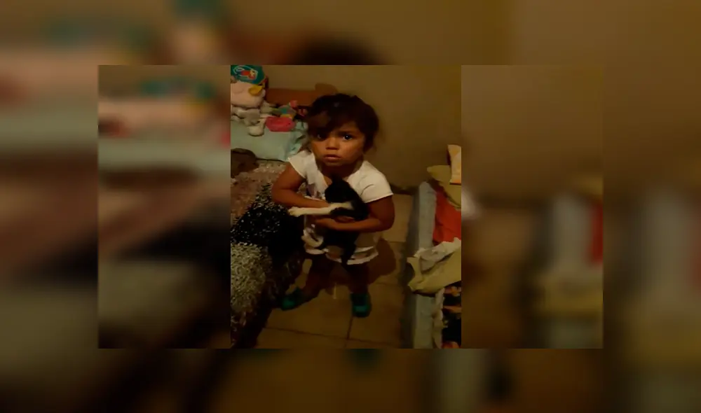 En Facebook, una pequeña escondió a un indefenso gato y su travesura fue descubierta por su madre.