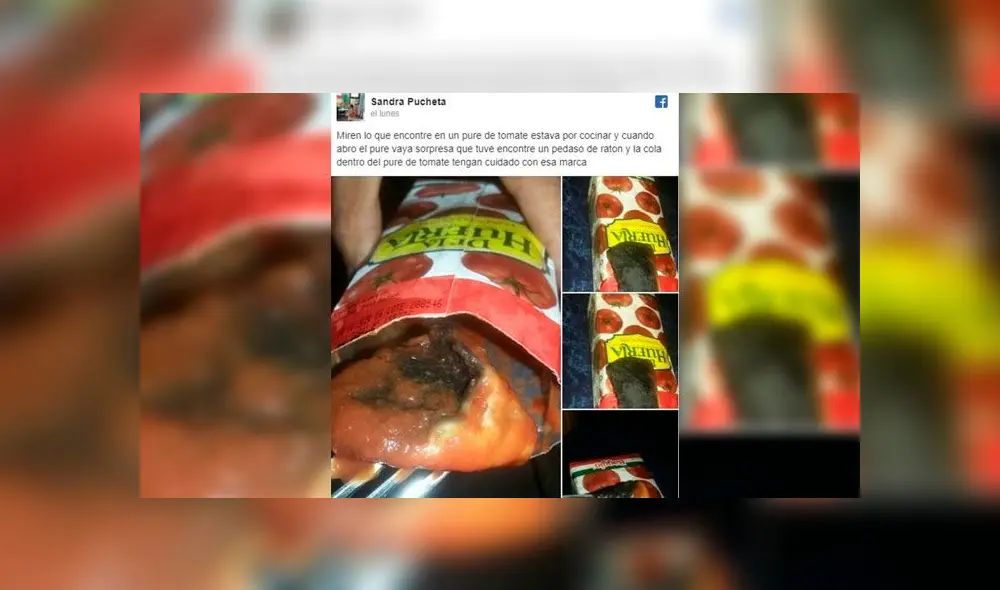 Rata en puré de tomate Rata en puré de tomate