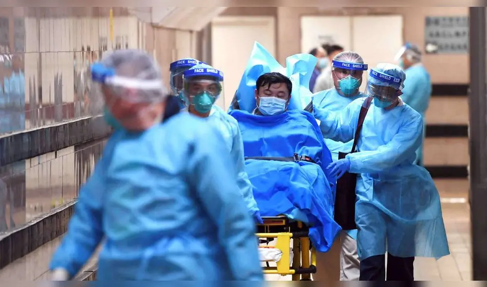 China prohíbe comercio de animales salvajes hasta que epidemia coronavirus termine