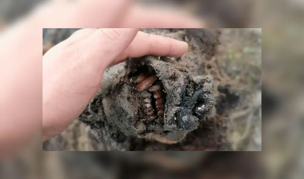 Fotografía de la Universidad de Fotografía de la Universidad de