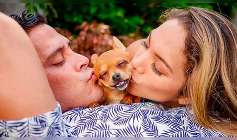 La cantante impedirá que su saliente vea a su expareja con el pretexto de la mascota.