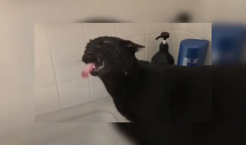 Desliza las imágenes para ver más de esta escena que se hizo viral en YouTube. Desliza las imágenes para ver más de esta escena que se hizo viral en YouTube.