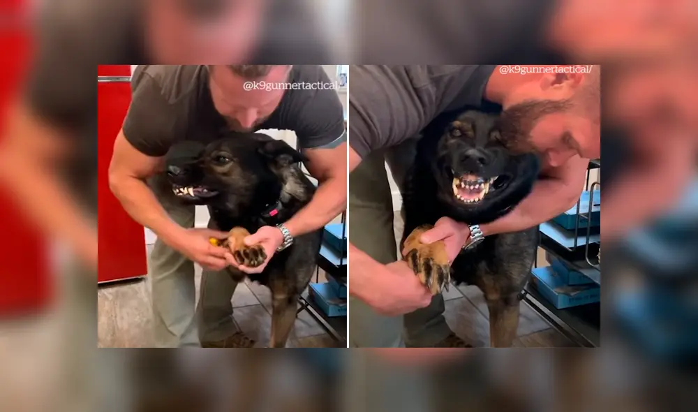 Desliza para ver los momentos más divertidos del video que se hizo viral en Facebook. Desliza para ver los momentos más divertidos del video que se hizo viral en Facebook.