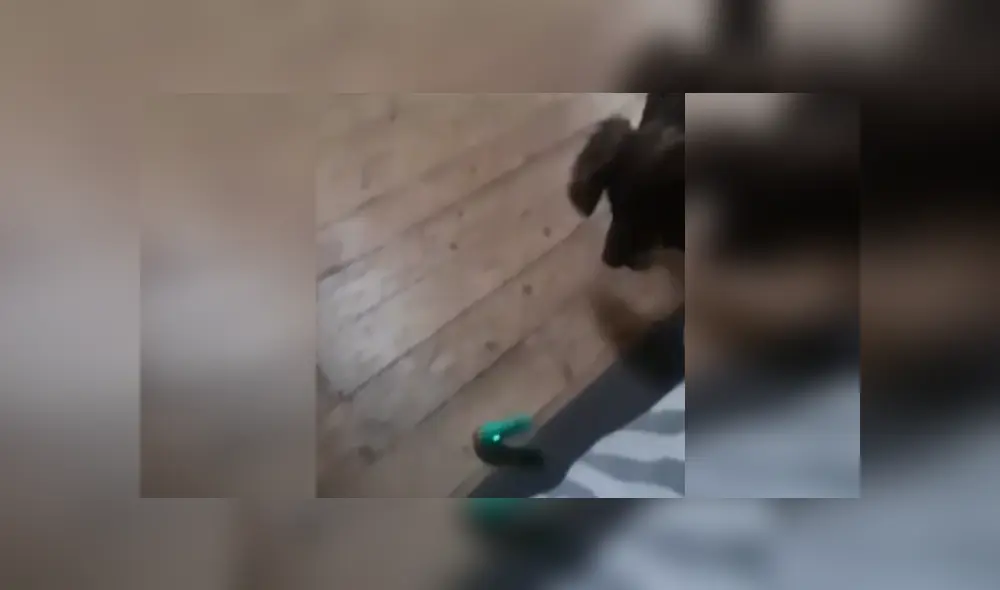 Desliza las imágenes para ver más detalles de esta divertida escena que es viral en Facebook.