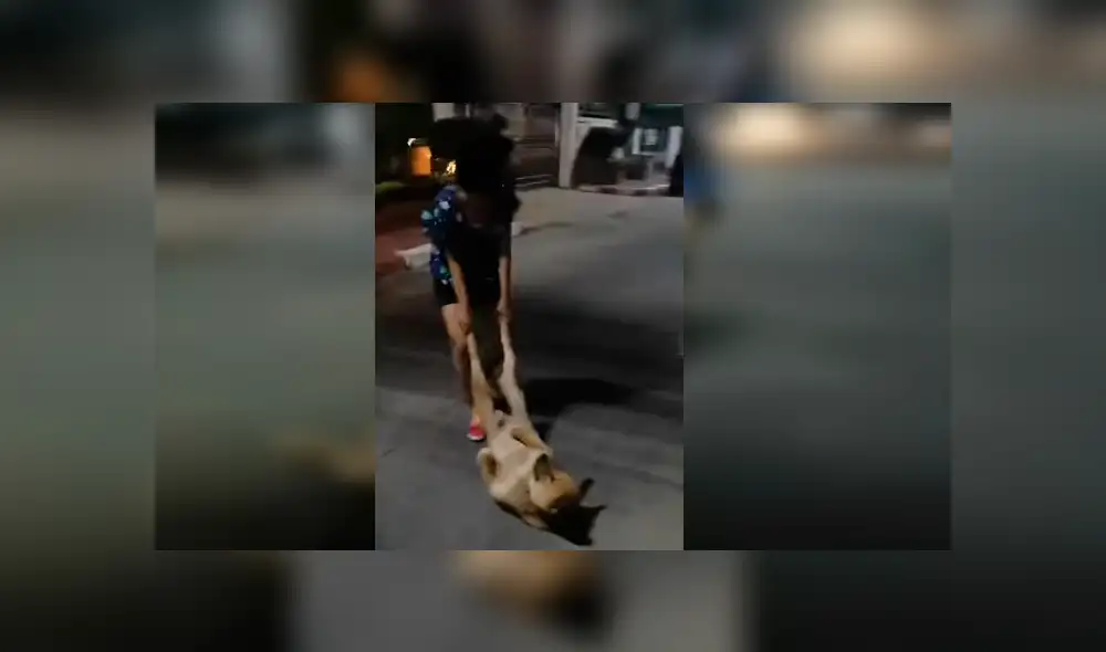 Dueños del can lo habían dejado en la calle durante dos horas y al ver que no regresaba se fueron a buscarlo Dueños del can lo habían dejado en la calle durante dos horas y al ver que no regresaba se fueron a buscarlo