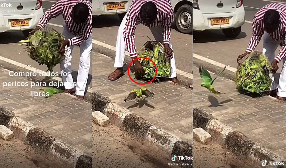 El video ha sumado más de dieciséis millones de visualizaciones en TikTok. Foto: composición LR/captura de TikTok/@adrianlabrada7