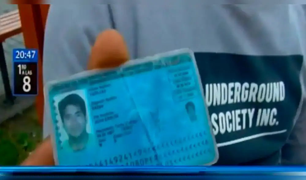 Facebook viral: peruano que puso gatito como firma en su DNI cuenta qué pasó con su mascota [VIDEO]