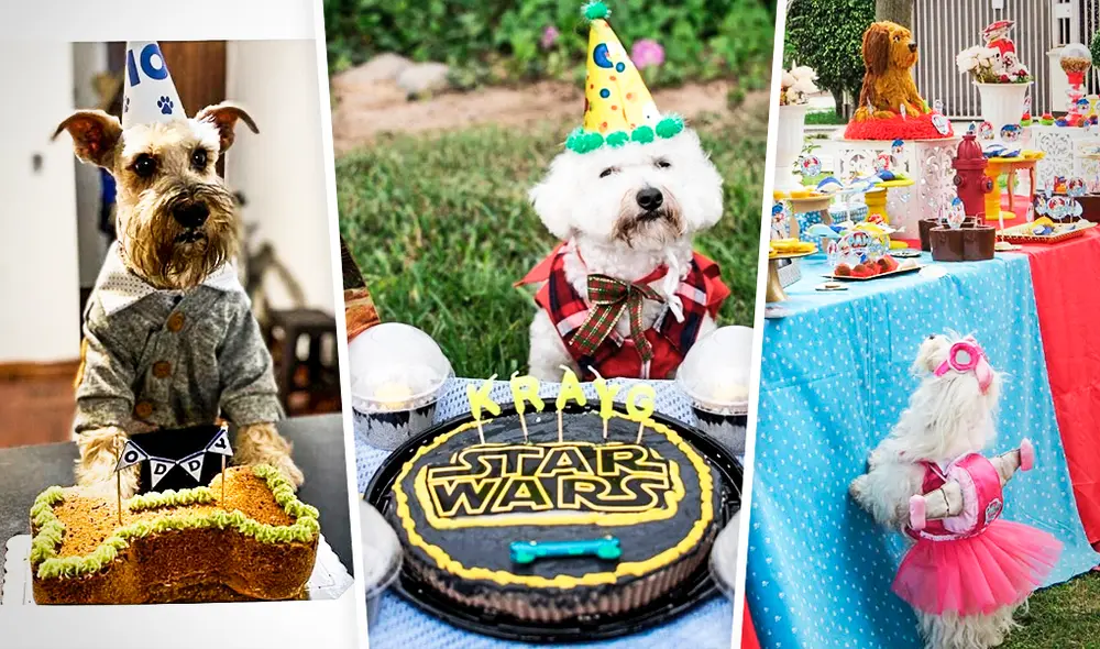 Sorpresas para mascotas de empresas peruanas. Foto: composición/ fotos de Perrumba y Kanelitaz