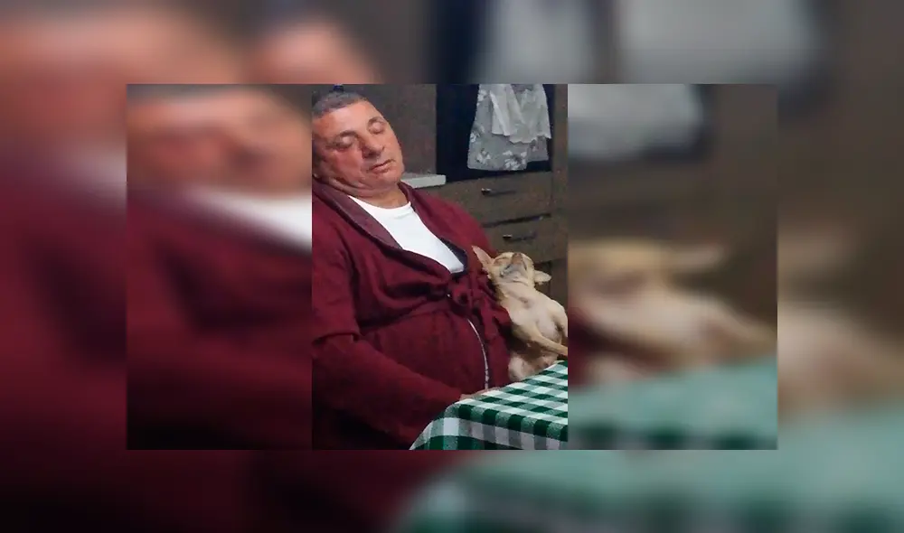 En Facebook, un padre fue descubierto en emotiva escena junto a un perro tras mostrar su rechazo por querer una mascota. En Facebook, un padre fue descubierto en emotiva escena junto a un perro tras mostrar su rechazo por querer una mascota.