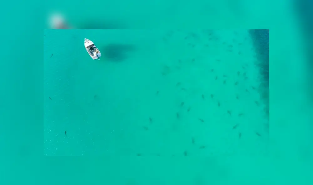 Desliza para ver los momentos más impactantes del video que se hizo viral en YouTube. Desliza para ver los momentos más impactantes del video que se hizo viral en YouTube.