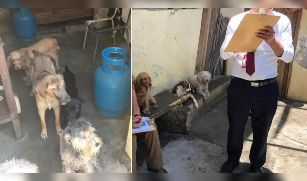 Un grupo de desconocidos irrumpieron en su casa la tarde el jueves último.