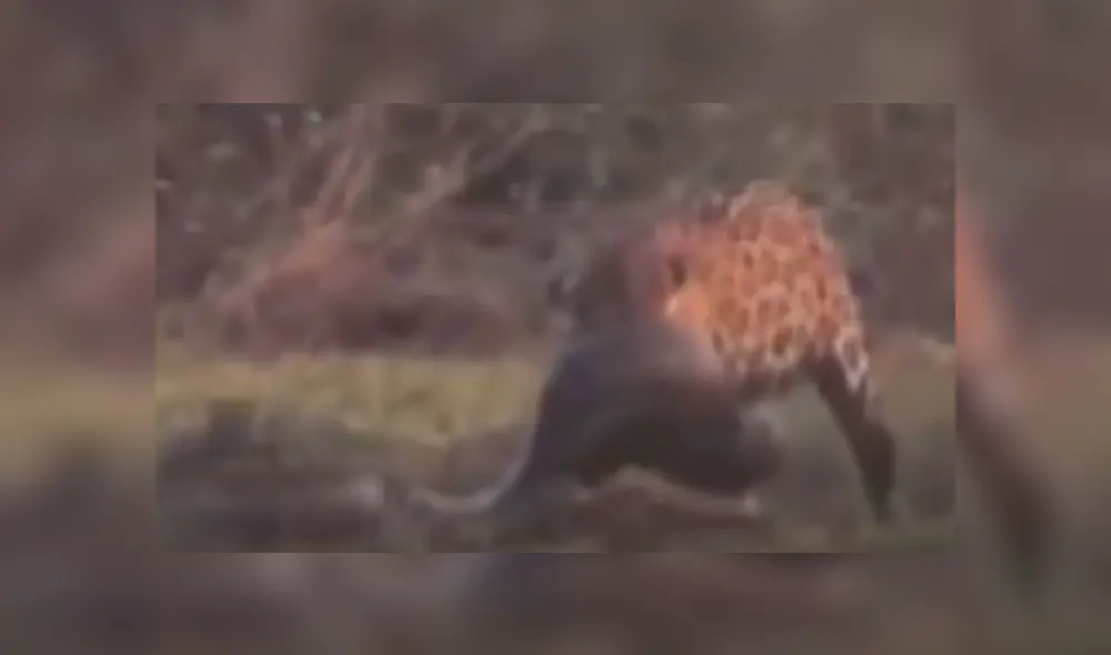 Desliza hacia la izquierda para ver las imágenes del viral de Facebook.