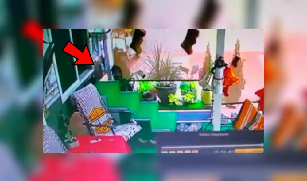 Facebook viral: coloca cámara de seguridad y descubre lo que hace su perro cuando él no está en casa Facebook viral: coloca cámara de seguridad y descubre lo que hace su perro cuando él no está en casa