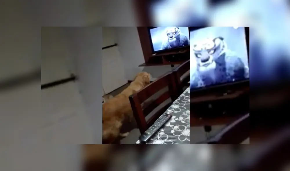 Desliza hacia la izquierda para ver más del video viral. Fotocaptura: Twitter