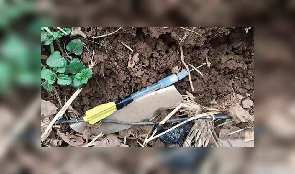 Dardos con veneno que el asesino utilizaba contra los animales. Foto: Radio Mitre