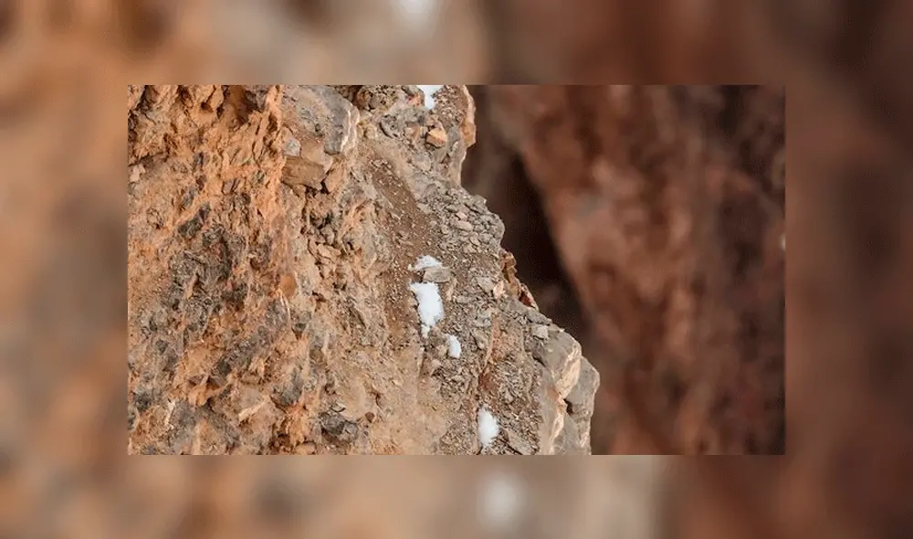 ¿Puedes encontrar al leopardo camuflado en la montaña?: el nuevo reto viral que es sensación en redes sociales [FOTOS]