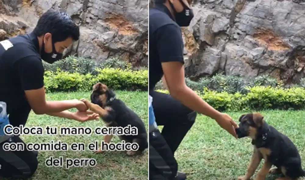 Desliza las imágenes para ver más detalles sobre este video que ha asombrado a miles de usuarios en redes sociales. Foto: captura de TikTok