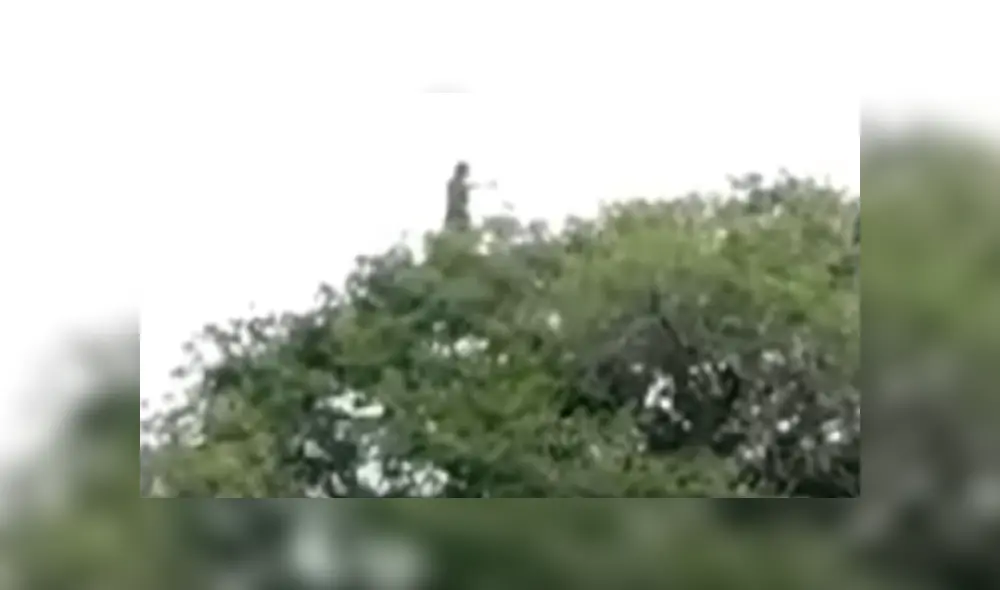 Video es viral en YouTube. Las escalofriantes imágenes asustaron a miles en las redes sociales; sin embargo, se acaba de revelar la verdad. Foto: Captura.