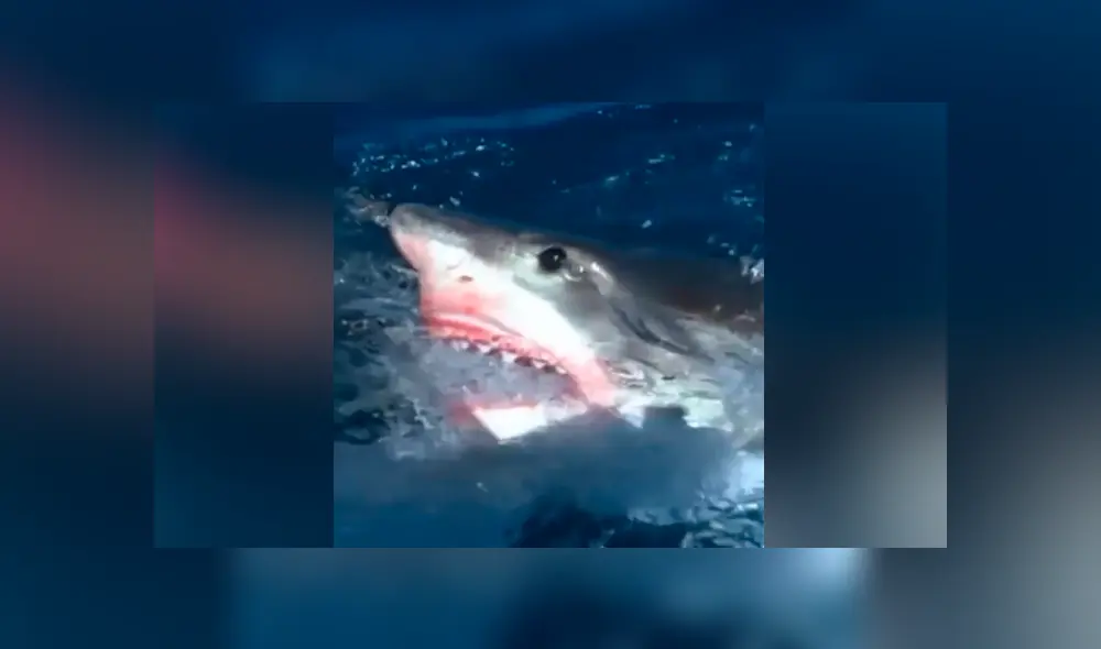 Desliza para ver las imágenes más impactantes del video que se hizo viral en Facebook. Desliza para ver las imágenes más impactantes del video que se hizo viral en Facebook.