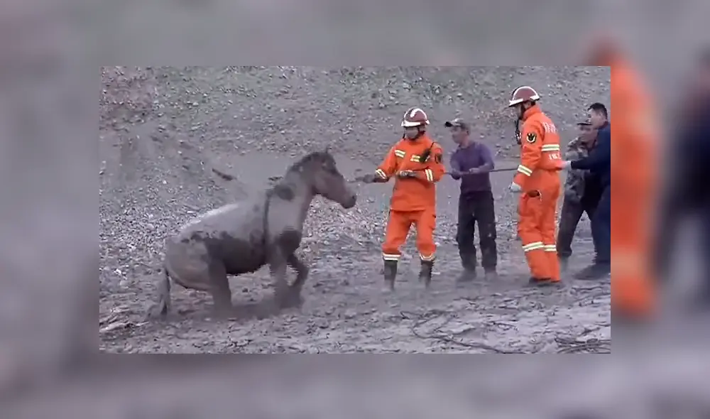 Desliza la imagen publicada en YouTube para verlas todas. Foto: captura