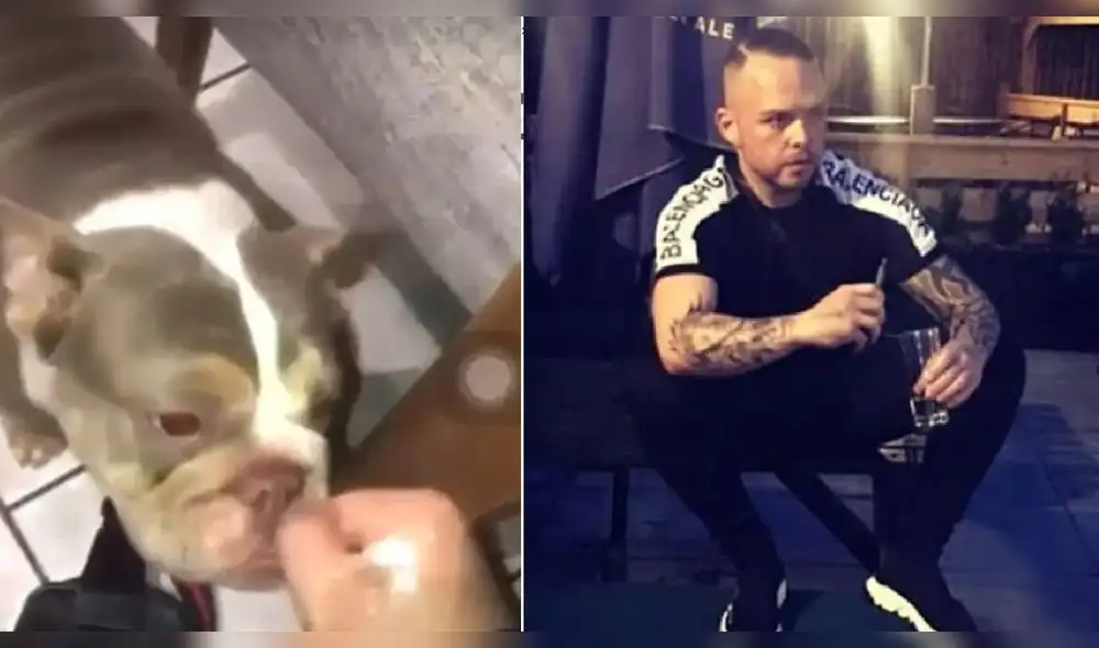 Una reforma legislativa en 2019 buscó aumentar a cinco años de cárcel las penas por maltrato animal. Foto: Difusión. Una reforma legislativa en 2019 buscó aumentar a cinco años de cárcel las penas por maltrato animal. Foto: Difusión.