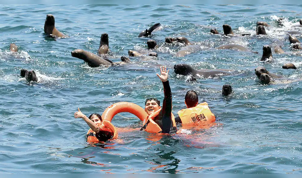 Elija ir a uno de los cinco mejores destinos naturales en feriado largo