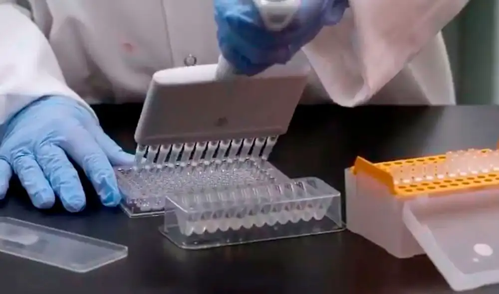 La vacunas experimentales tienen como objetivo inhabilitar la proteína que le permite infectar al coronavirus las células humanas. Foto: Twitter Pfizer