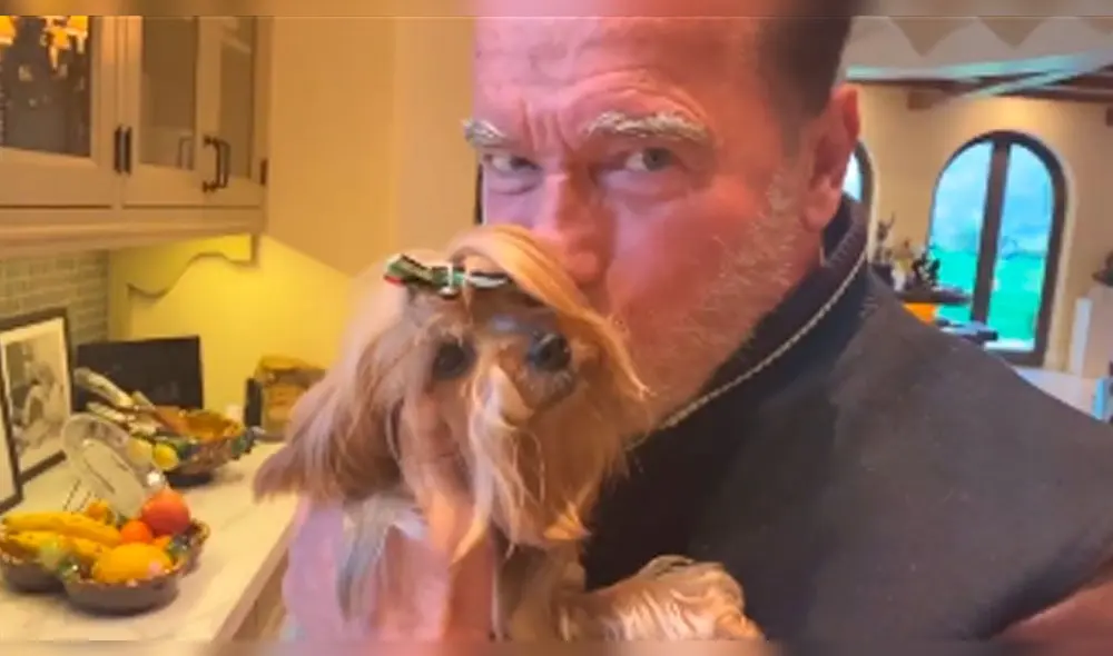 Coronavirus: Arnold Schwarzenegger se aísla junto a su poni y su burro por pandemia Coronavirus: Arnold Schwarzenegger se aísla junto a su poni y su burro por pandemia