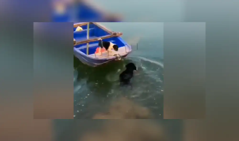 Desliza para ver los momentos más emotivos del video que se hizo viral en Facebook.