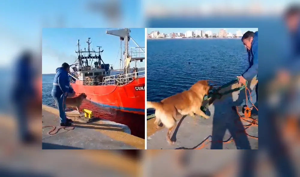 Desliza hacia la izquierda para ver más del video viral. Fotocaptura: Facebook