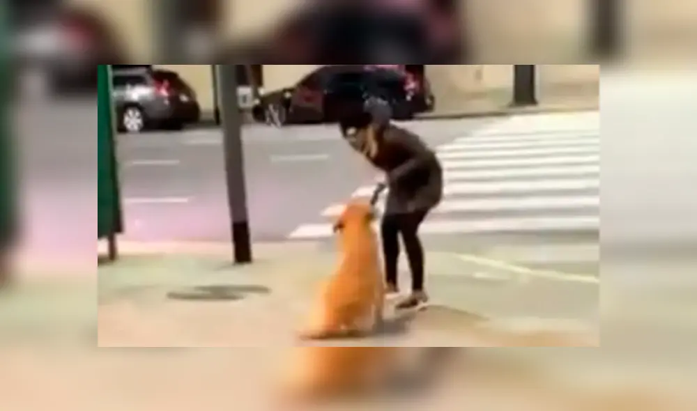 Graban a mujer que golpeó a su perro en plena vía pública. Foto: Captura/La Nación