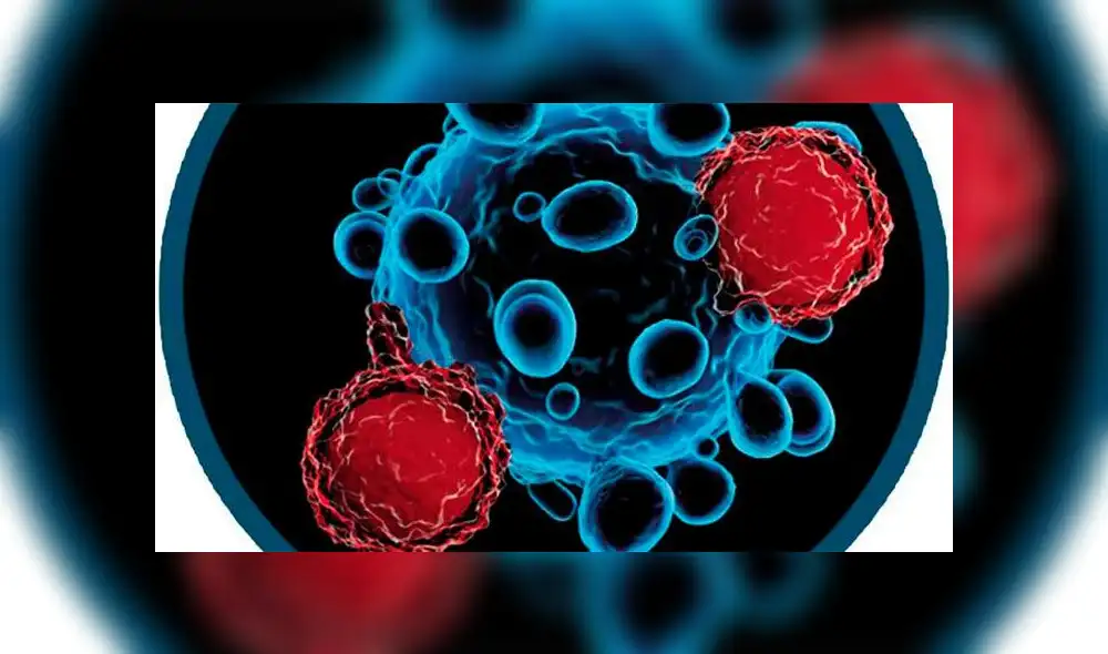 El receptor del antígeno CAR en una célula T se une a una molécula cancerosa en la superficie. Foto: Difusión. El receptor del antígeno CAR en una célula T se une a una molécula cancerosa en la superficie. Foto: Difusión.