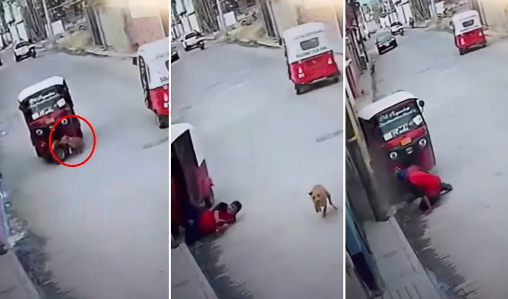 El video se viralizó en todas las redes sociales. Foto: composición LR/captura de TikTok/@olvinpaz40 El video se viralizó en todas las redes sociales. Foto: composición LR/captura de TikTok/@olvinpaz40