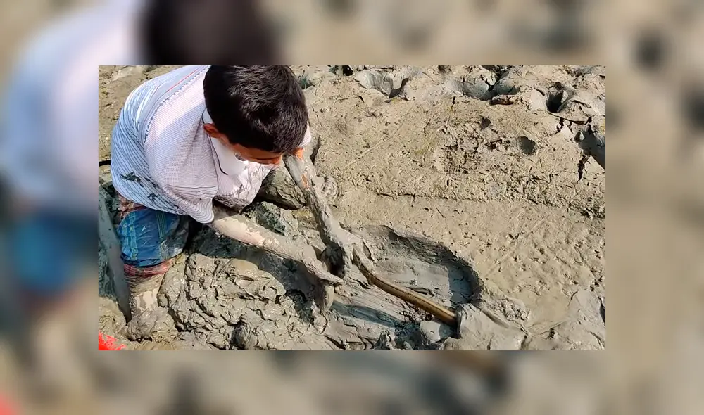 YouTube viral: joven se sumerge en estanque de fango y descubre misteriosa criatura cuyo aspecto sorprende a miles YouTube viral: joven se sumerge en estanque de fango y descubre misteriosa criatura cuyo aspecto sorprende a miles