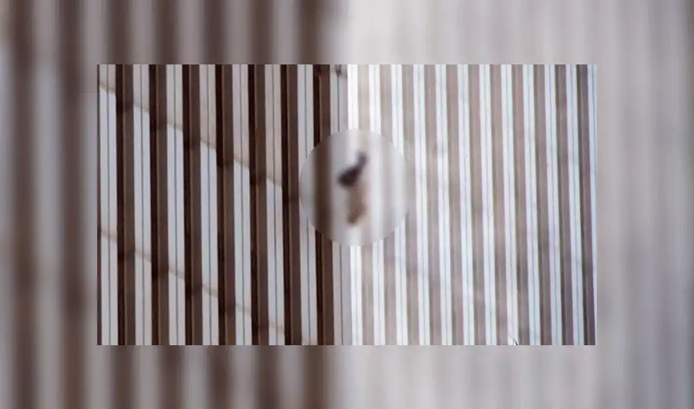 'El hombre que cae'. Foto: Richard Drew/AP 'El hombre que cae'. Foto: Richard Drew/AP