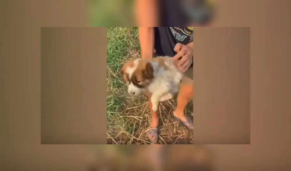 Desliza hacia la izquierda para ver el conmovedor rescate que se volvió viral en Facebook.