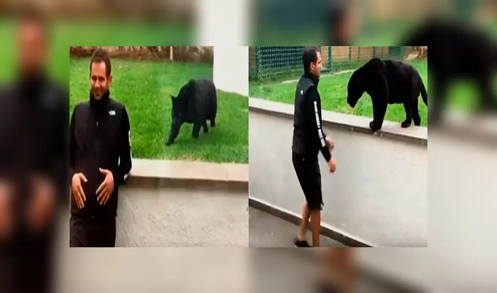 YouTube viral: implacable pantera aparece sigilosamente y sorprende por la espalda a su cuidador [VIDEO]