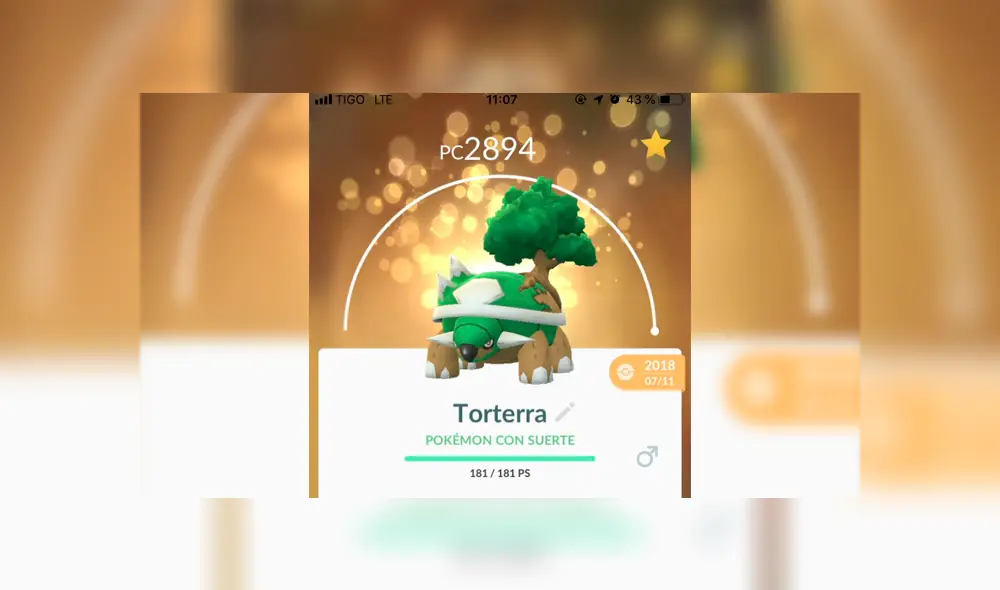 Torterra
Hoja afilada, Planta Feroz y Bucle Arena/Bucle Arena. Torterra
Hoja afilada, Planta Feroz y Bucle Arena/Bucle Arena.