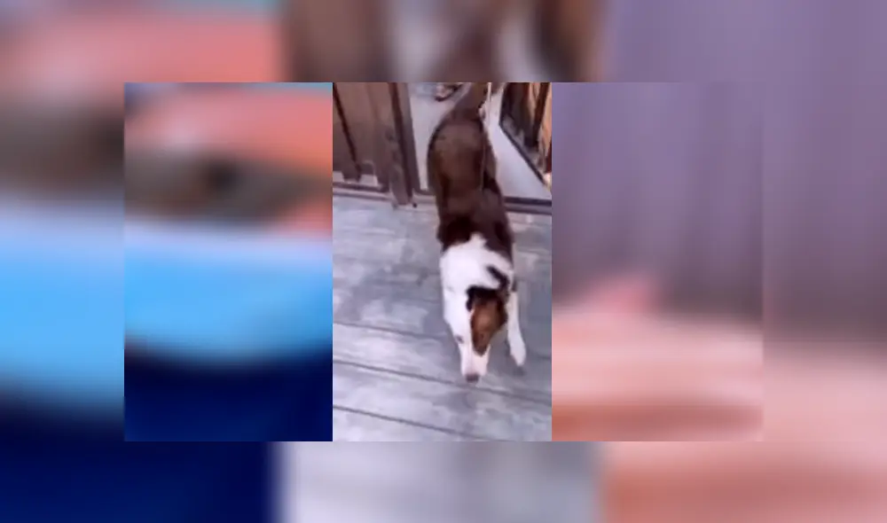 Desliza para ver los detalles del video viral publicado en YouTube. Foto: Captura.