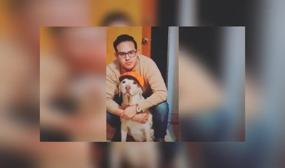 Desliza las imágenes hacia la izquierda para apreciar el emotivo homenaje de un joven a su perro. Desliza las imágenes hacia la izquierda para apreciar el emotivo homenaje de un joven a su perro.