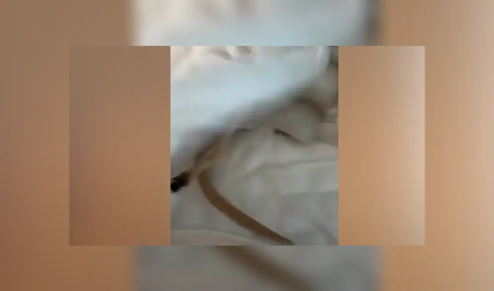 Desliza hacia la izquierda para ver las imágenes del viral de YouTube.