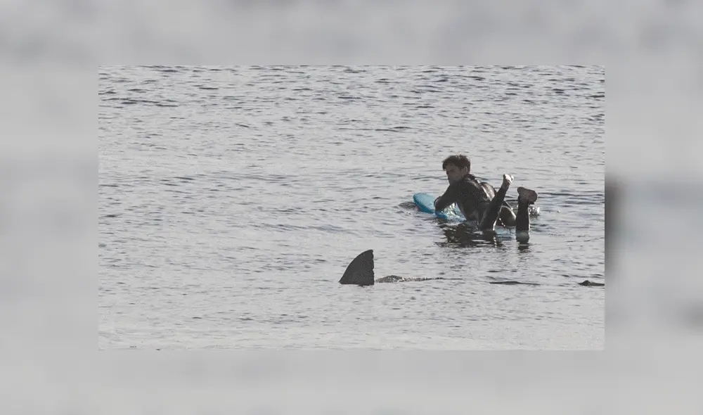 Gigantesco tiburón acecha a descuidado surfista y el desenlace sorprende en redes [FOTOS]
