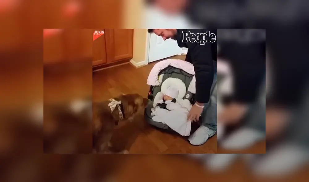 En Facebook, un perro se mostró emocionado al percatarse de la presencia de un bebé recién nacido. En Facebook, un perro se mostró emocionado al percatarse de la presencia de un bebé recién nacido.