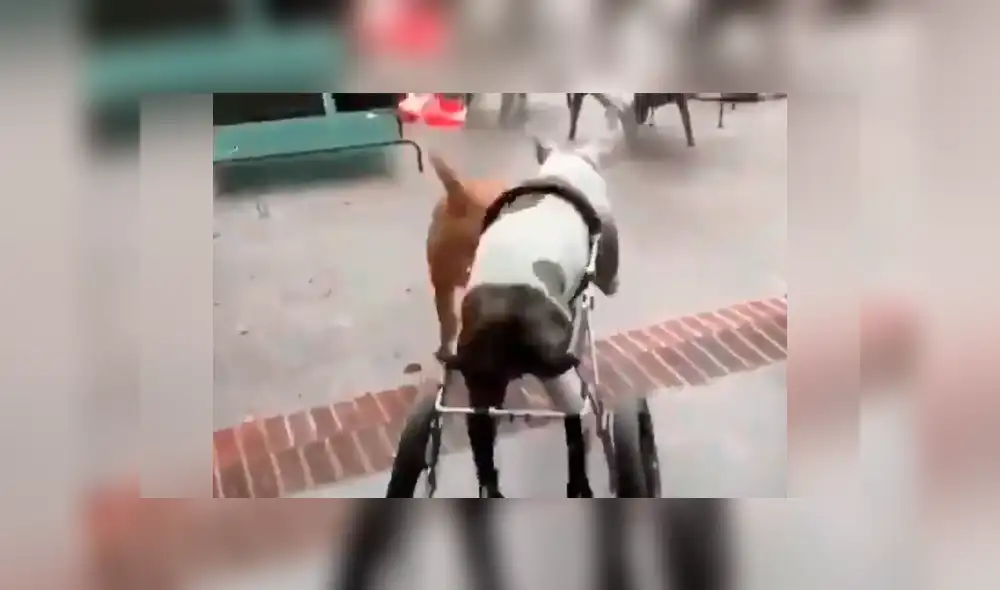 Desliza para ver todas las imágenes de Facebook. Foto: captura