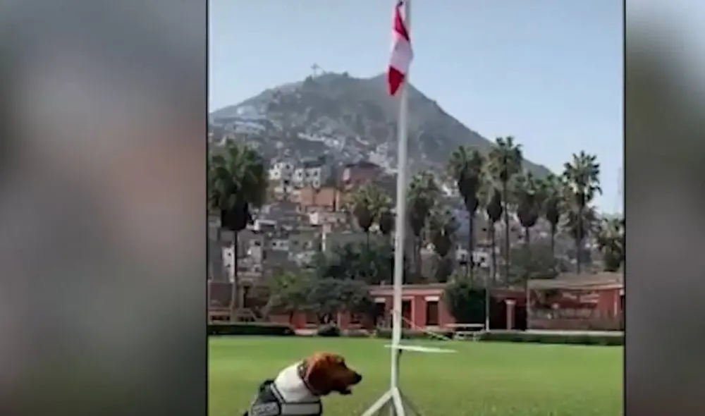 Las imágenes han llenado de orgullo a todos los peruanos. Foto: Captura/Facebook/PNP