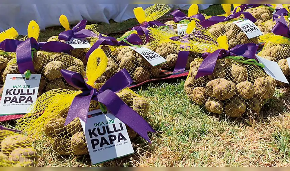 Producen nueva papa fortificada para la lucha contra la anemia Producen nueva papa fortificada para la lucha contra la anemia