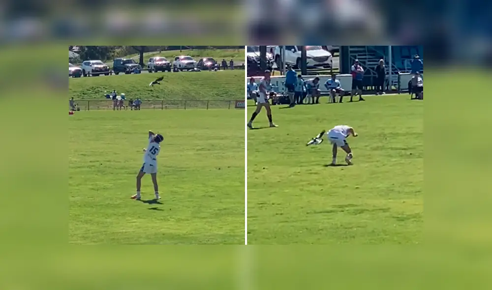 Estos verdugos flautistas son conocidas como urracas canora en Australia, de donde son originarias. Foto: Viral Hog/YouTube