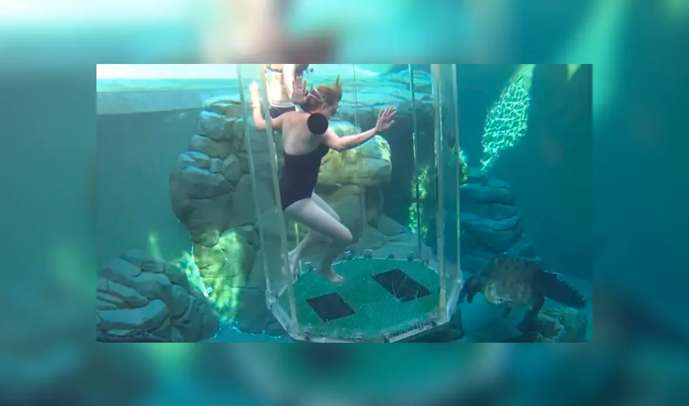 YouTube viral: chicas se sumergen en santuario de enorme cocodrilo y quedan horrorizadas 