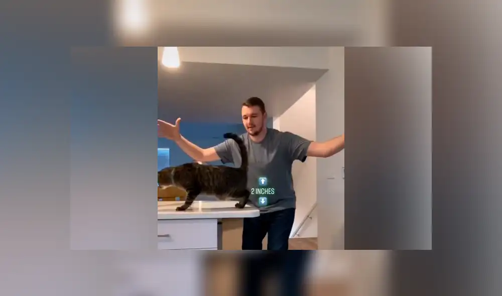 Desliza hacia la izquierda para ver el resultado del experimento que hizo un joven con su gato. Video es viral en YouTube.