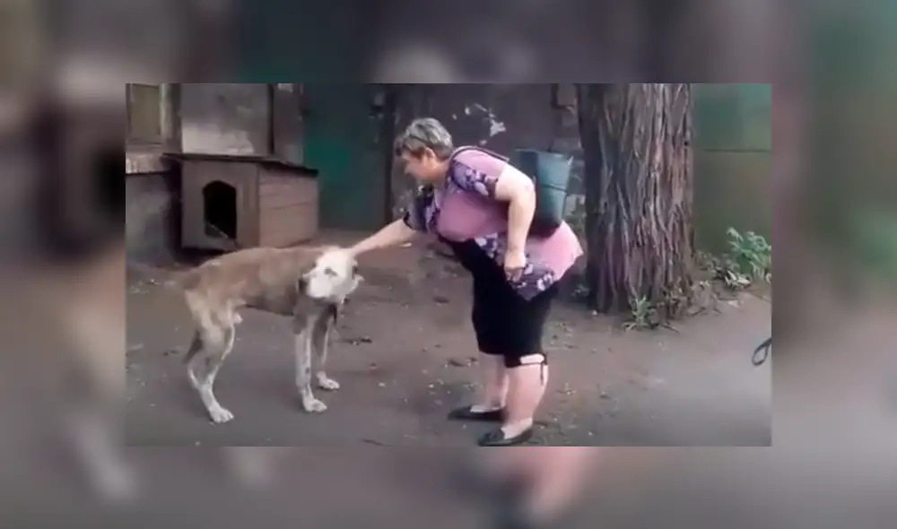 YouTube viral: perro se reencuentra con su dueña tras varios años y su reacción emociona a miles [VIDEO]